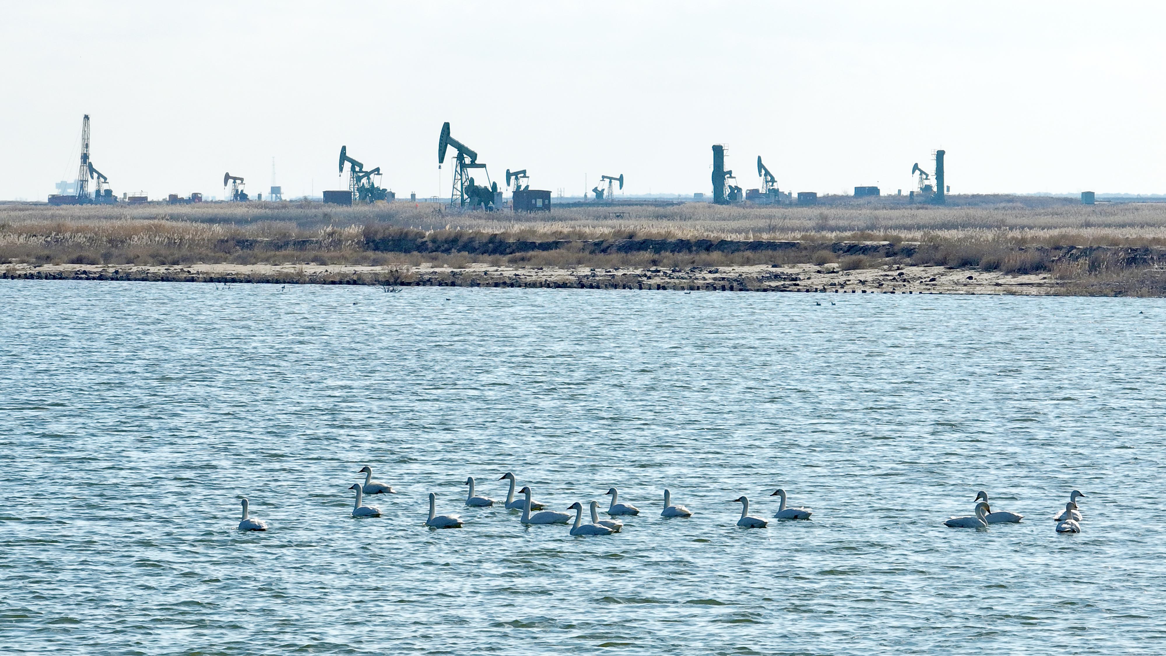 月度好图(2025年11月)AG真人平台app中国石化(图6) 月度好图(2025年11月)AG真人平台app中国石化(图6)